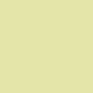 RAL 110 90 30 (T) Verde Gelado De Kiwi